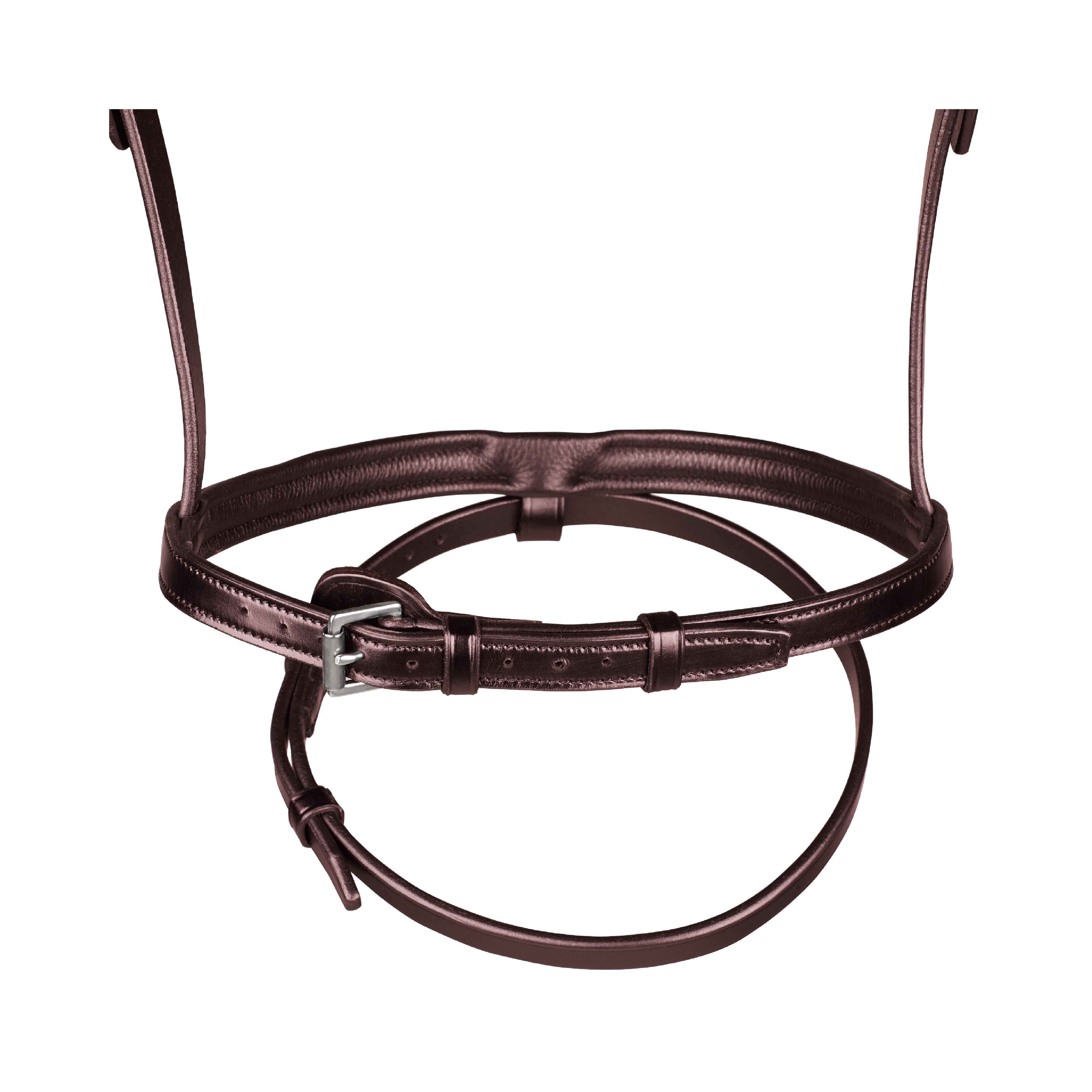 Arena Classic Bridle