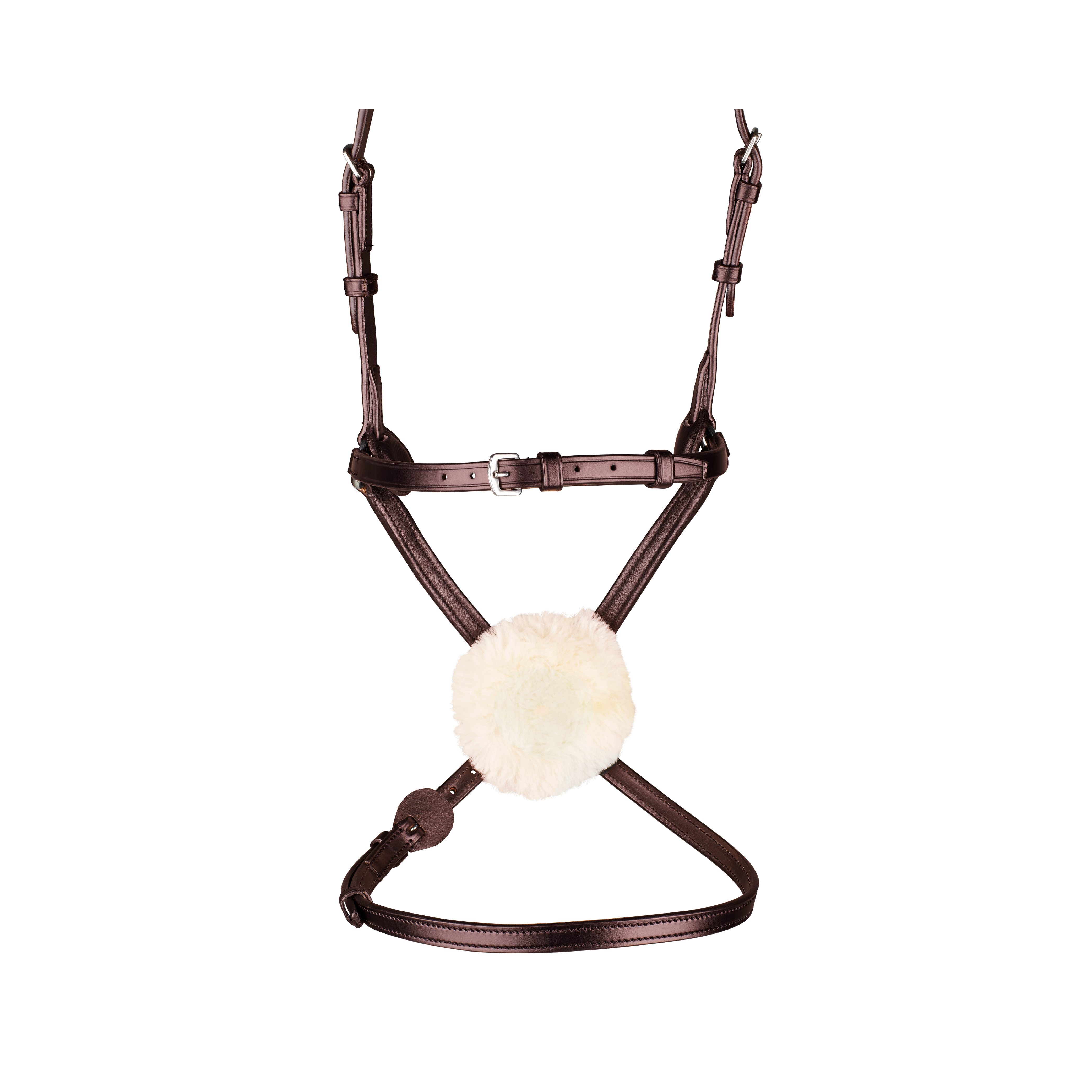 Arena Grackle Bridle