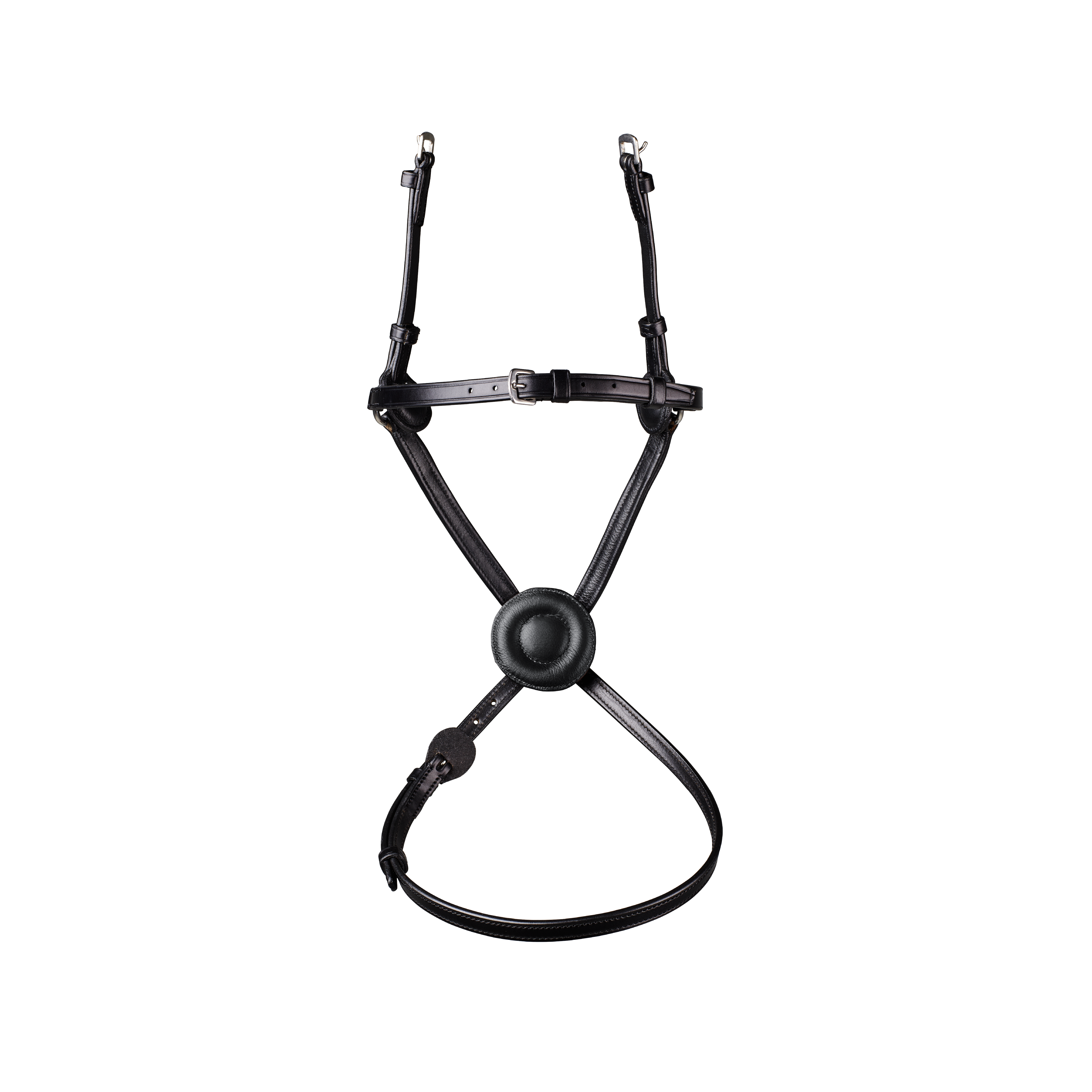 Arena Grackle Bridle