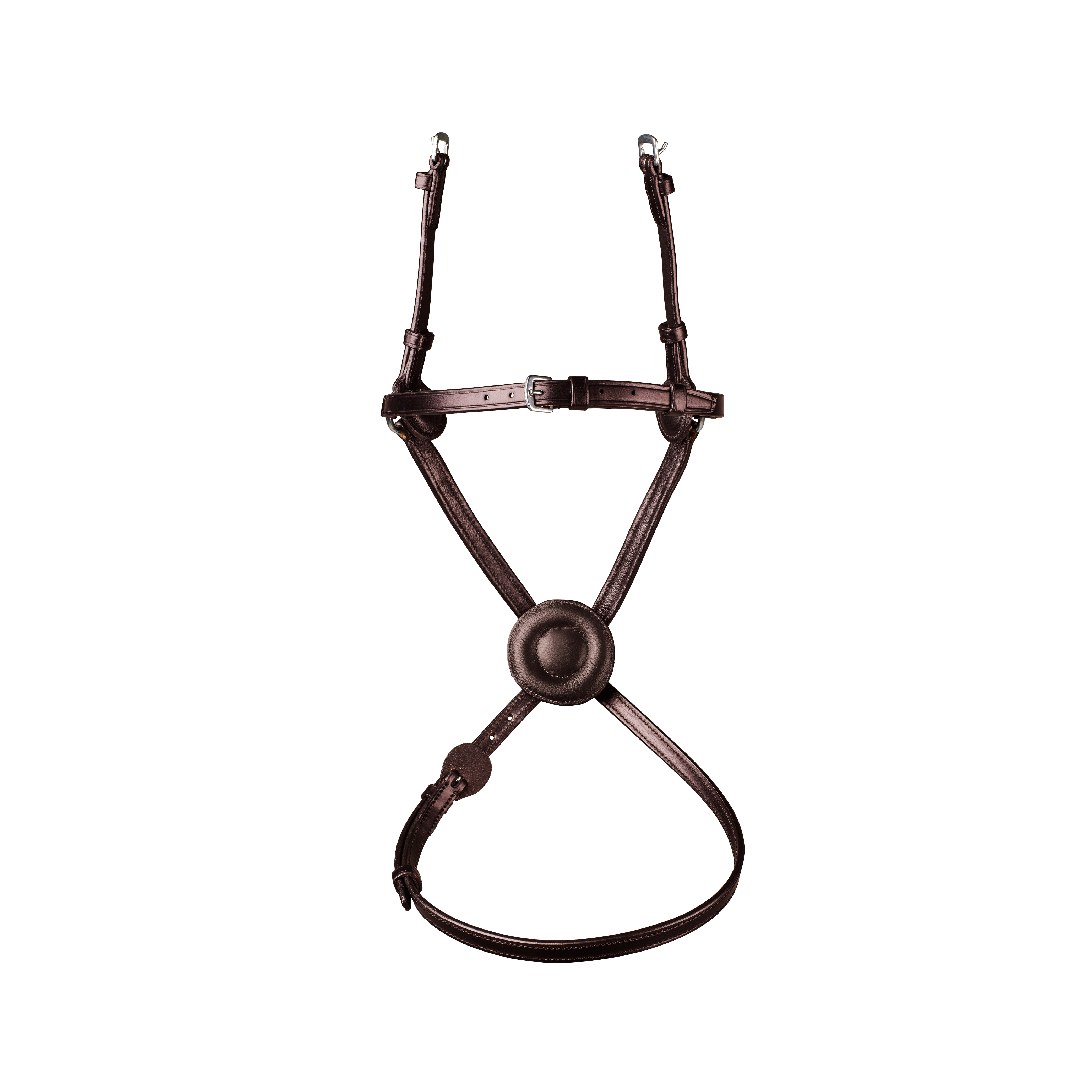 Arena Grackle Bridle