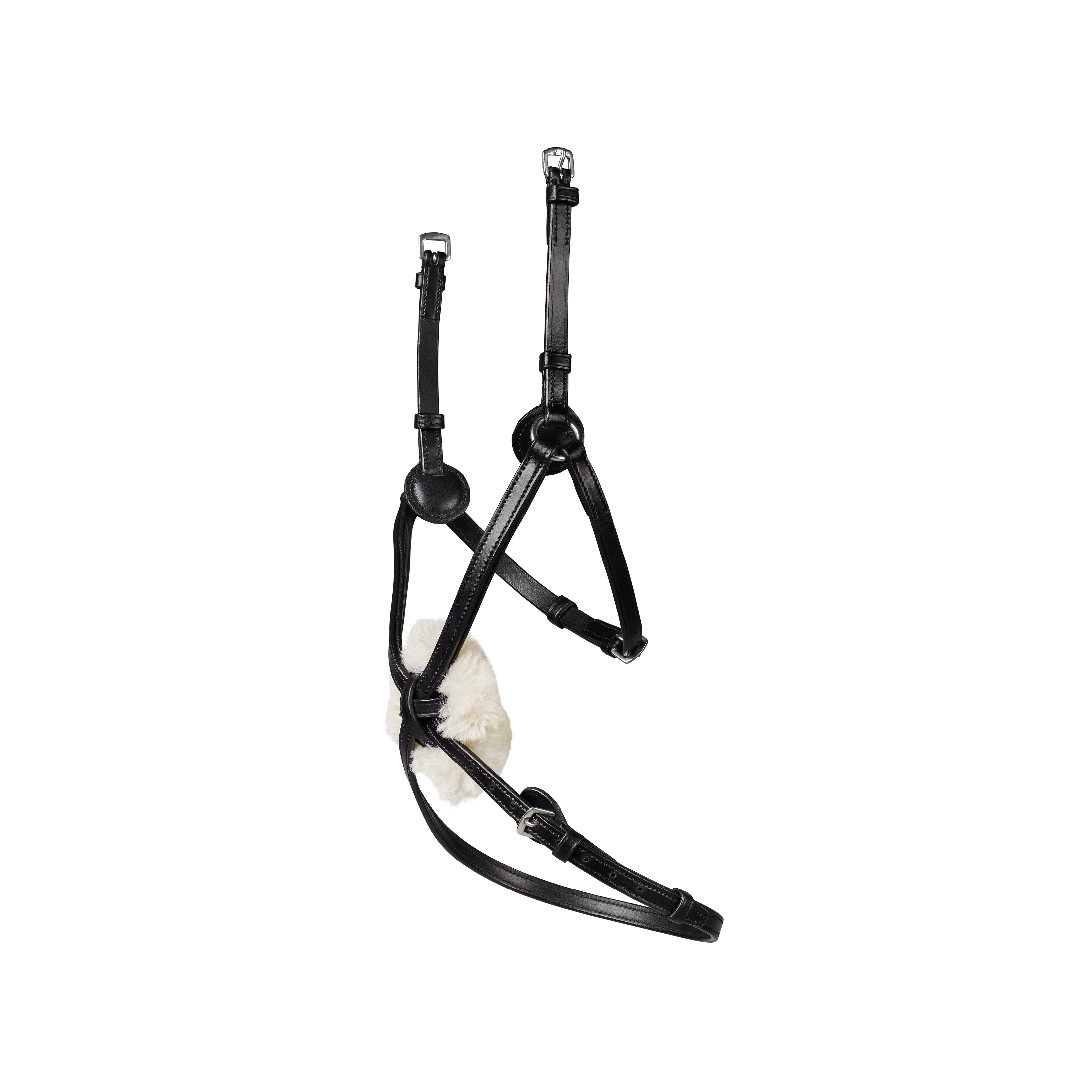 Arena Grackle Bridle