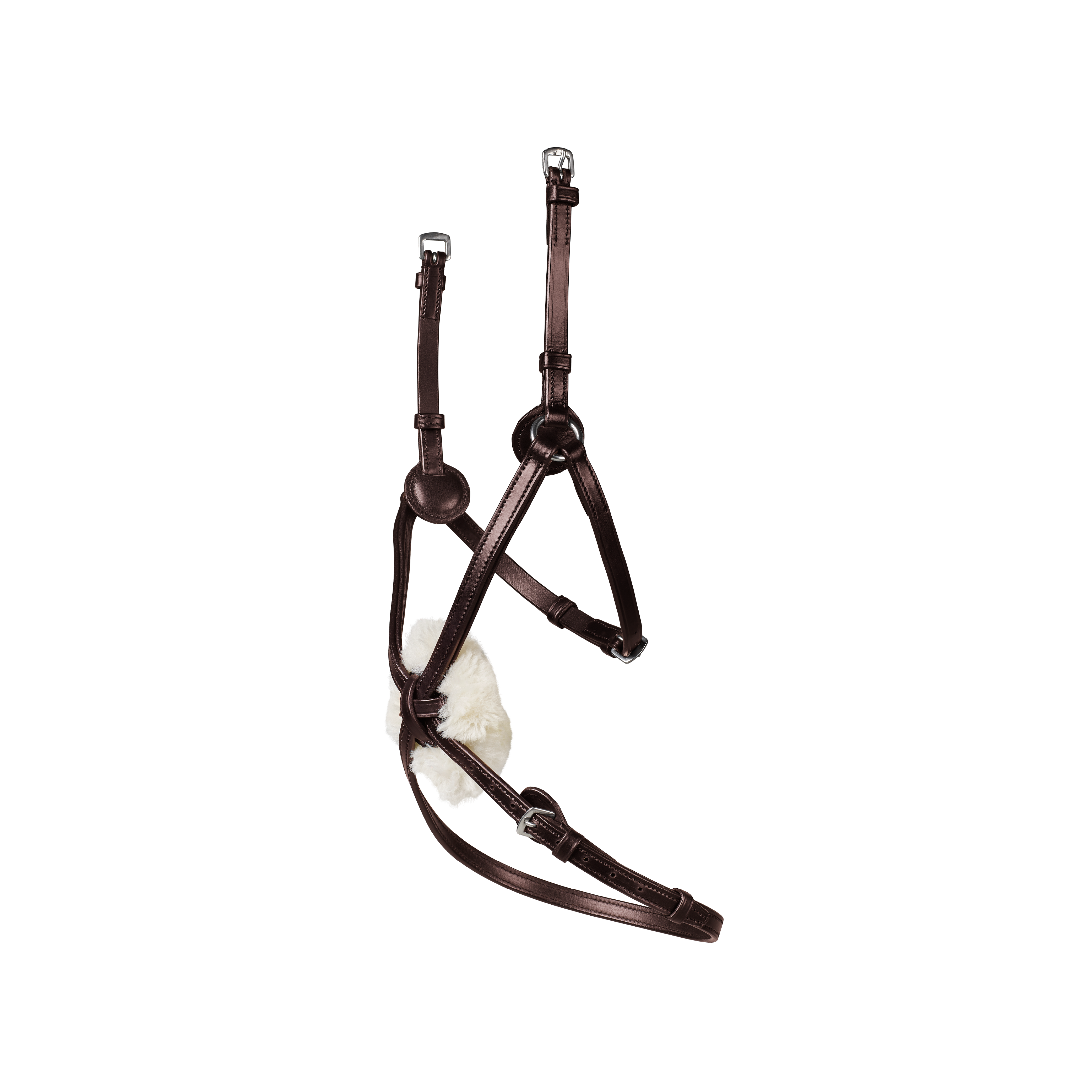 Arena Grackle Bridle
