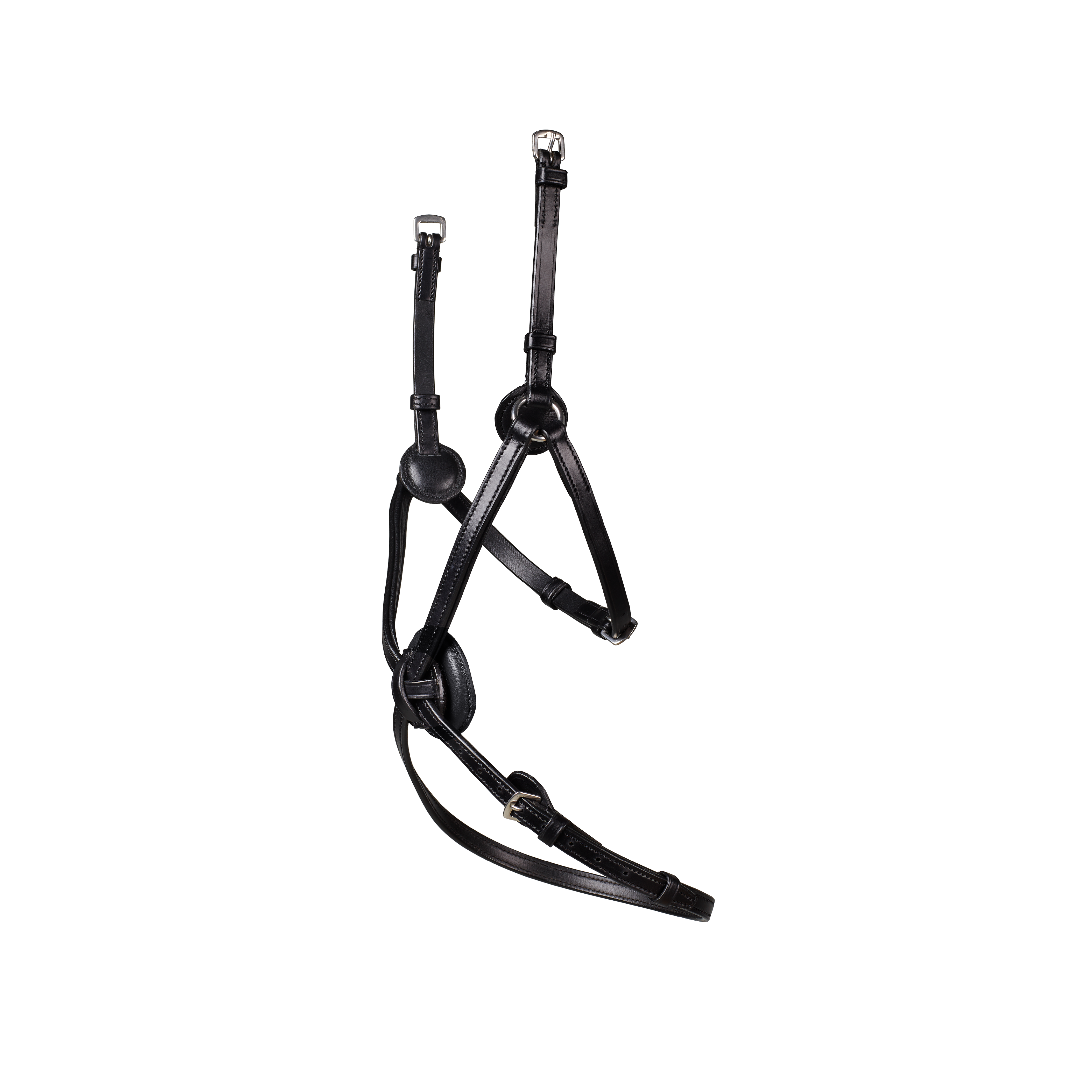 Arena Grackle Bridle