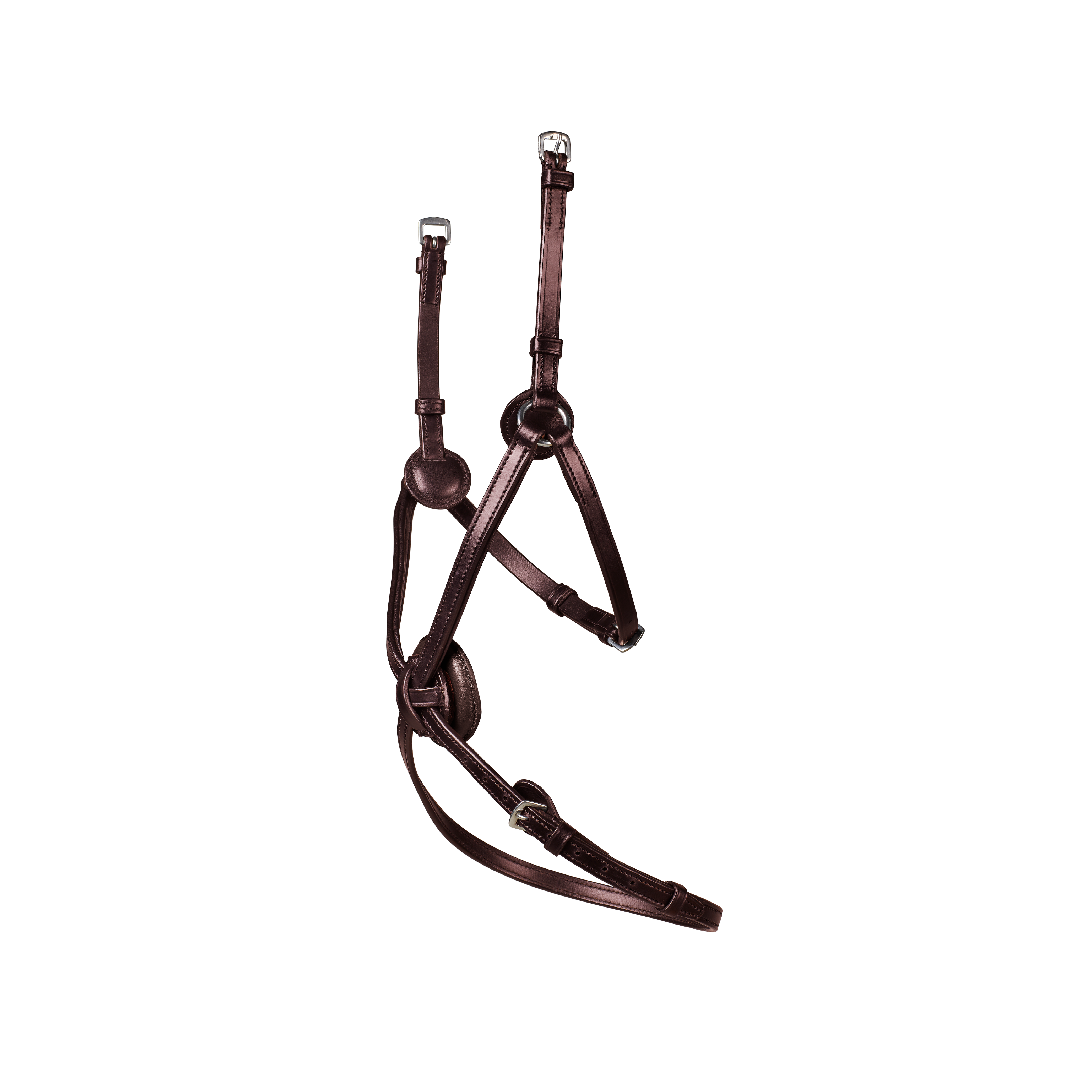 Arena Grackle Bridle