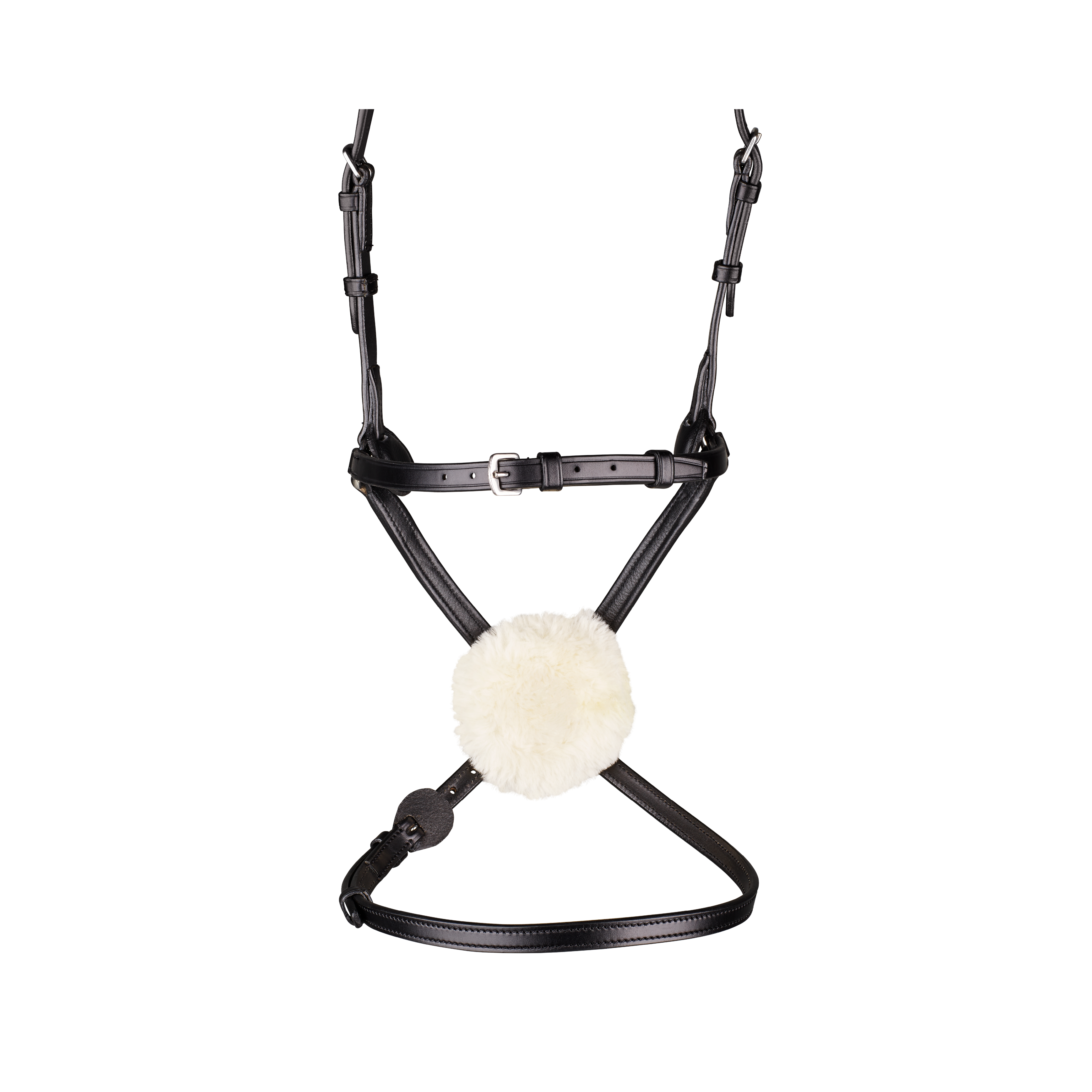 Arena Grackle Bridle