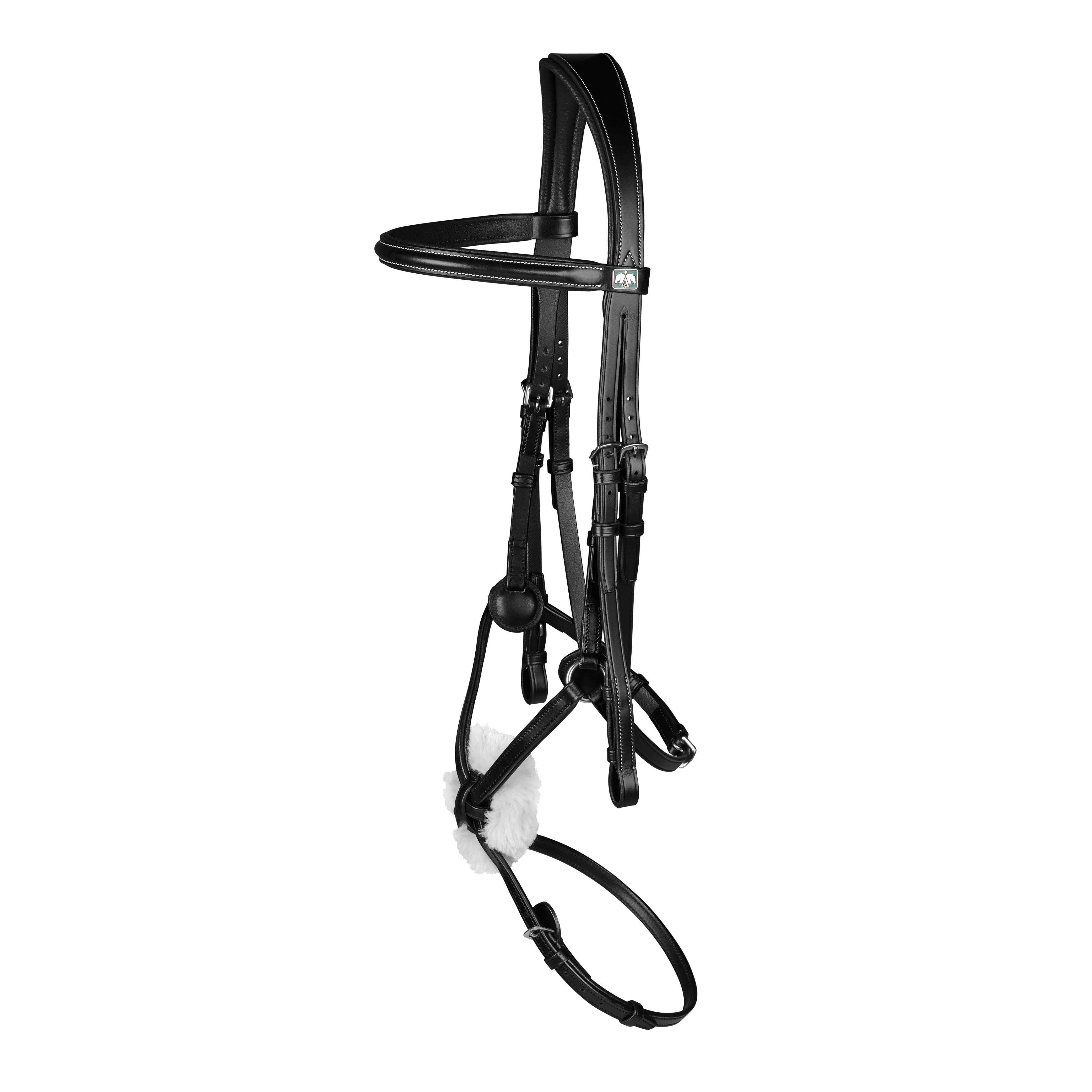 Arena Grackle Bridle