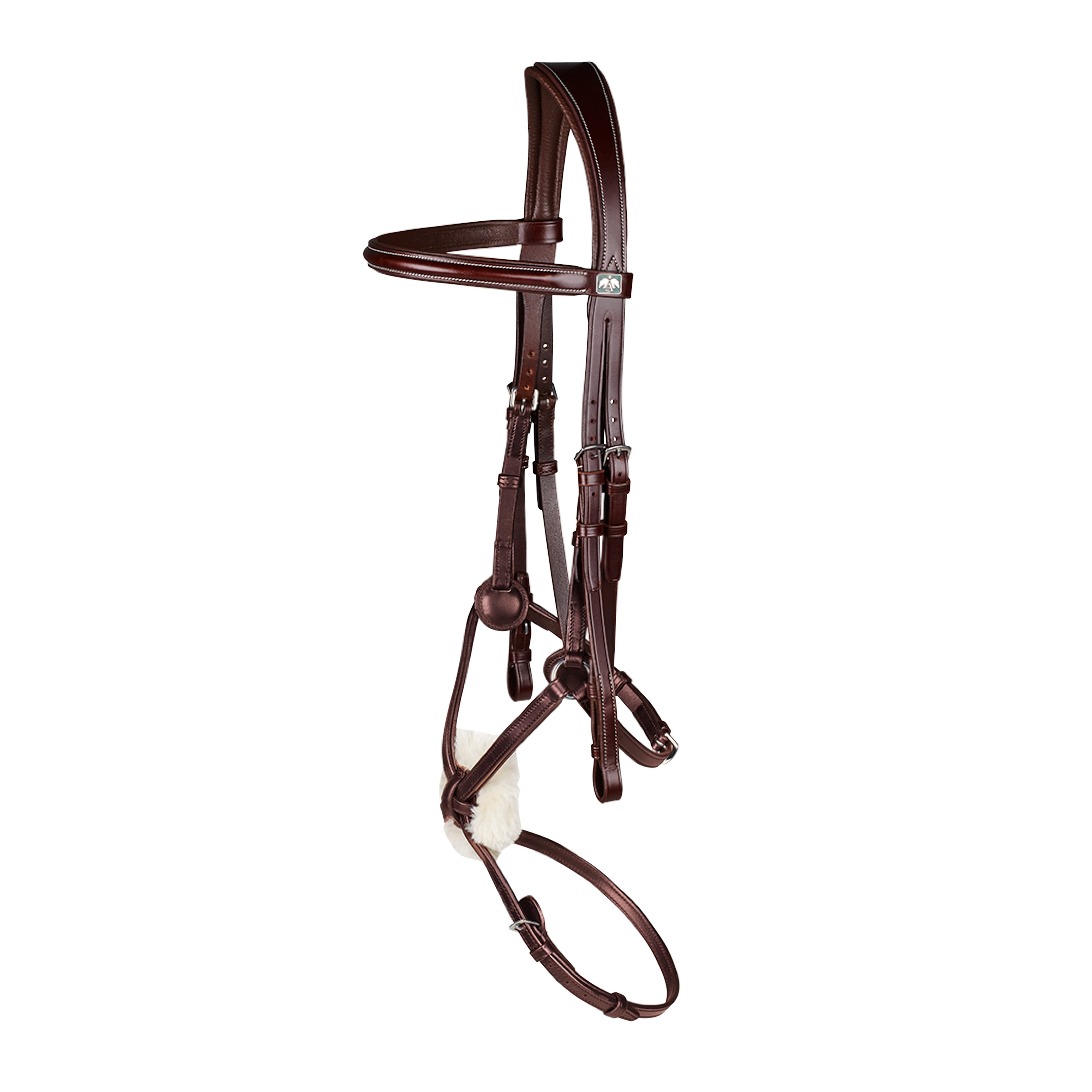 Arena Grackle Bridle